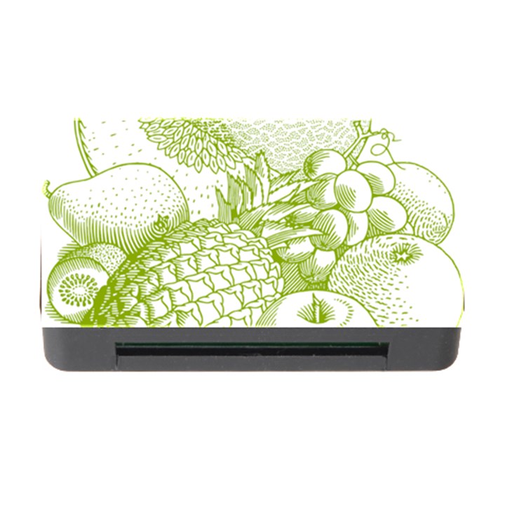 Fruits Vintage Food Healthy Retro Memory Card Reader with CF