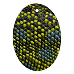 Lizard Animal Skin Ornament (oval) by BangZart