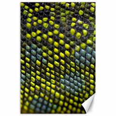 Lizard Animal Skin Canvas 24  X 36  by BangZart