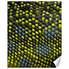 Lizard Animal Skin Canvas 11  X 14   by BangZart