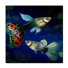 Marine Fishes Tile Coasters by BangZart