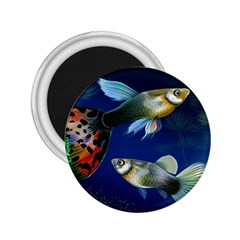 Marine Fishes 2 25  Magnets by BangZart