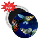 Marine Fishes 2.25  Magnets (10 pack)  Front