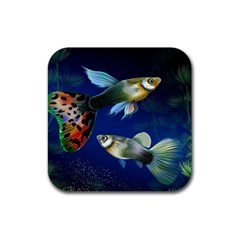 Marine Fishes Rubber Coaster (square)  by BangZart