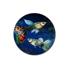 Marine Fishes Magnet 3  (round)