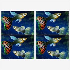 Marine Fishes Belt Buckles