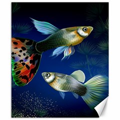 Marine Fishes Canvas 8  X 10 