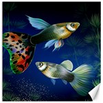 Marine Fishes Canvas 20  x 20   19 x19.27  Canvas - 1