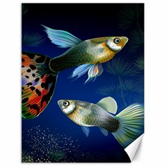 Marine Fishes Canvas 18  X 24  