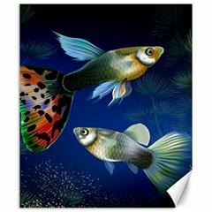 Marine Fishes Canvas 20  X 24   by BangZart