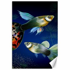 Marine Fishes Canvas 20  X 30   by BangZart