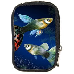 Marine Fishes Compact Camera Cases by BangZart