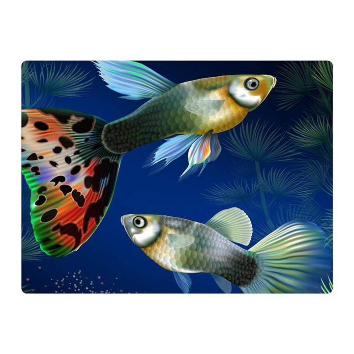 Marine Fishes Double Sided Flano Blanket (Mini) 