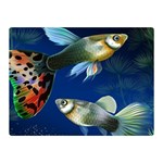 Marine Fishes Double Sided Flano Blanket (Mini)  35 x27  Blanket Back