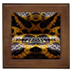 Textures Snake Skin Patterns Framed Tiles