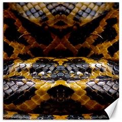 Textures Snake Skin Patterns Canvas 16  X 16  