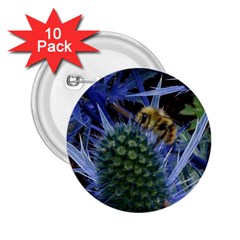 Chihuly Garden Bumble 2 25  Buttons (10 Pack)  by BangZart