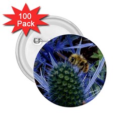 Chihuly Garden Bumble 2 25  Buttons (100 Pack) 