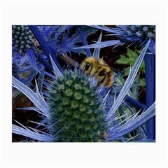 Chihuly Garden Bumble Small Glasses Cloth (2-side) by BangZart