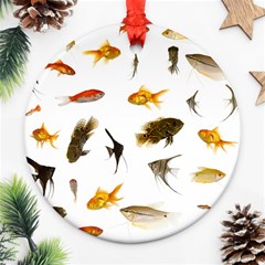 Goldfish Ornament (round) by BangZart