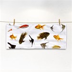 Goldfish Cosmetic Storage Cases Front