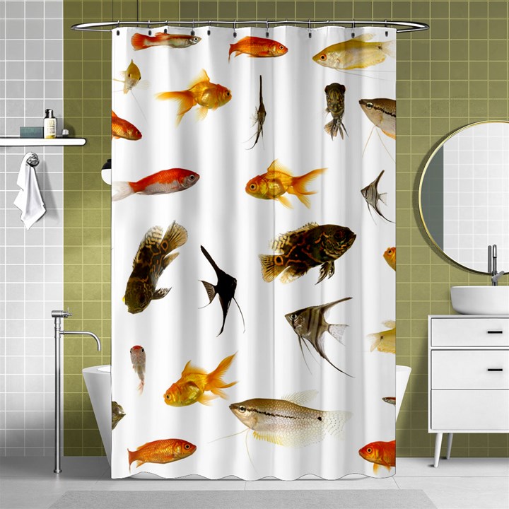 Goldfish Shower Curtain 48  x 72  (Small) 