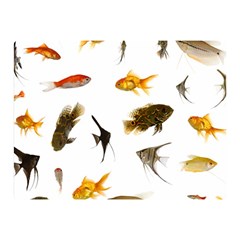 Goldfish Double Sided Flano Blanket (mini)  by BangZart