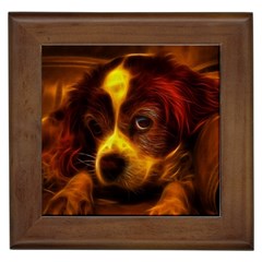 Cute 3d Dog Framed Tiles by BangZart