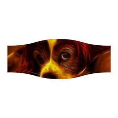 Cute 3d Dog Stretchable Headband by BangZart