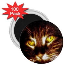 Cat Face 2 25  Magnets (100 Pack) 