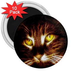 Cat Face 3  Magnets (10 Pack) 