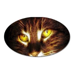 Cat Face Oval Magnet