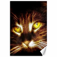 Cat Face Canvas 24  X 36  by BangZart