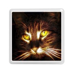 Cat Face Memory Card Reader (square)  by BangZart