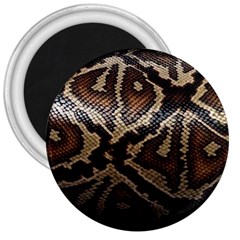 Snake Skin Olay 3  Magnets by BangZart