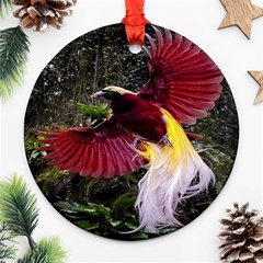 Cendrawasih Beautiful Bird Of Paradise Ornament (round) by BangZart