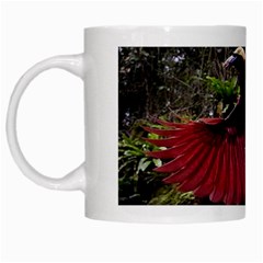 Cendrawasih Beautiful Bird Of Paradise White Mugs by BangZart