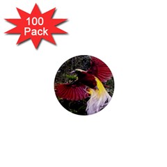 Cendrawasih Beautiful Bird Of Paradise 1  Mini Magnets (100 Pack) 