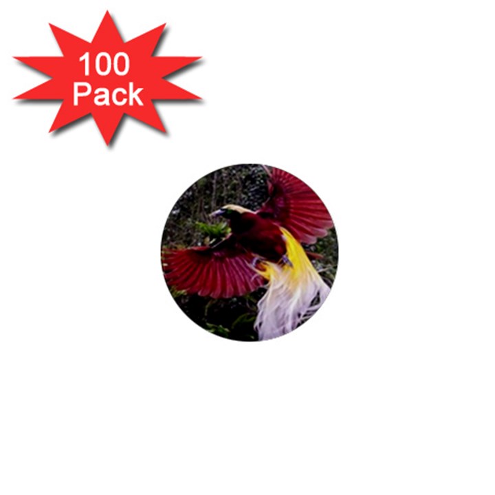 Cendrawasih Beautiful Bird Of Paradise 1  Mini Magnets (100 pack) 