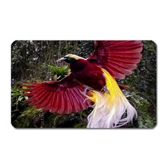 Cendrawasih Beautiful Bird Of Paradise Magnet (rectangular) by BangZart