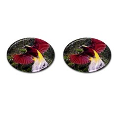 Cendrawasih Beautiful Bird Of Paradise Cufflinks (oval) by BangZart