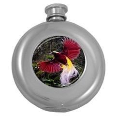 Cendrawasih Beautiful Bird Of Paradise Round Hip Flask (5 Oz) by BangZart