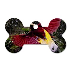 Cendrawasih Beautiful Bird Of Paradise Dog Tag Bone (one Side) by BangZart