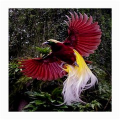 Cendrawasih Beautiful Bird Of Paradise Medium Glasses Cloth (2-side) by BangZart