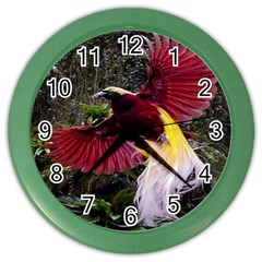 Cendrawasih Beautiful Bird Of Paradise Color Wall Clocks by BangZart