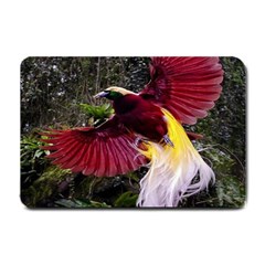 Cendrawasih Beautiful Bird Of Paradise Small Doormat  by BangZart