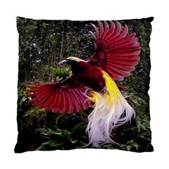 Cendrawasih Beautiful Bird Of Paradise Standard Cushion Case (one Side) by BangZart