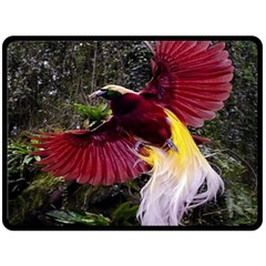 Cendrawasih Beautiful Bird Of Paradise Fleece Blanket (large)  by BangZart