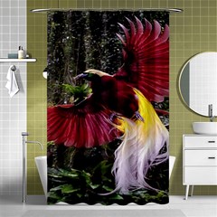 Cendrawasih Beautiful Bird Of Paradise Shower Curtain 48  X 72  (small)  by BangZart