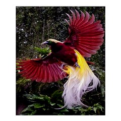 Cendrawasih Beautiful Bird Of Paradise Shower Curtain 60  X 72  (medium)  by BangZart